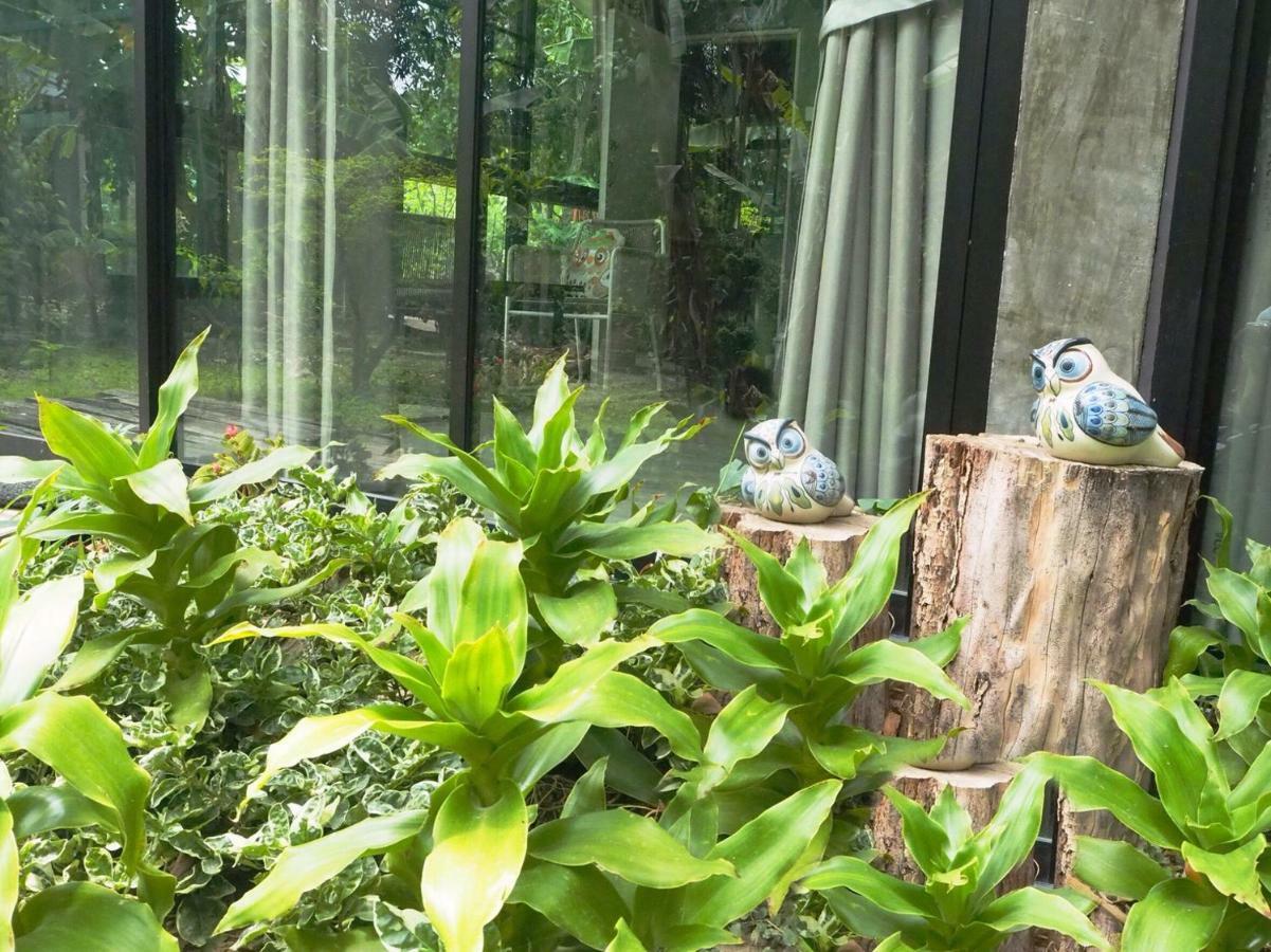Bann Rai Klai Weang Homestay Landkreis Landkreis Mae Taeng Exterior foto